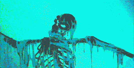 003 003